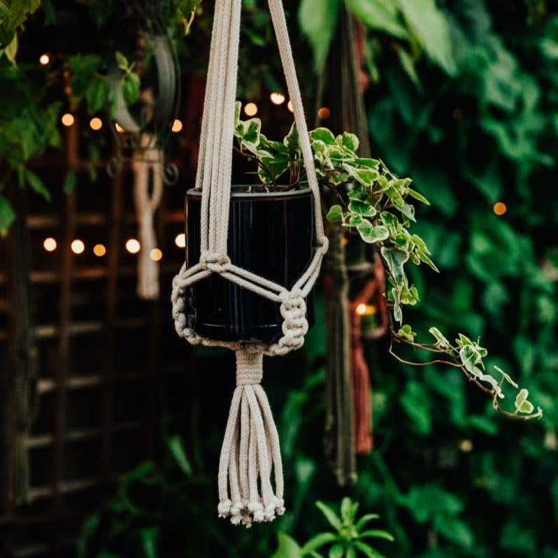 Macrame Cord Hanger - four colours
