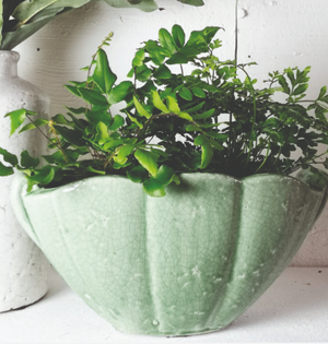 Green Ceramic Shell Shaped Planter - heart deco