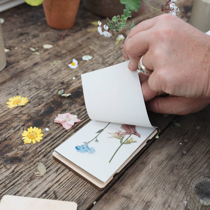 Person opening a small flower press with pressed flowers on a wooden surface