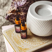 electric ceramic wax burner - heart deco