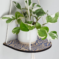 Plant Shelf Small - Primrose - Blue