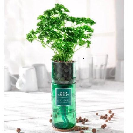 Hydro-Herb Growing Kits