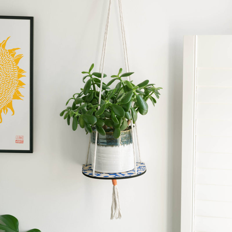 Hanging plant in a decorative pot with a white wall 