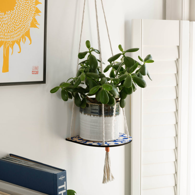 Hanging plant in a macrame holder on a white wall with a framed picture and books below.