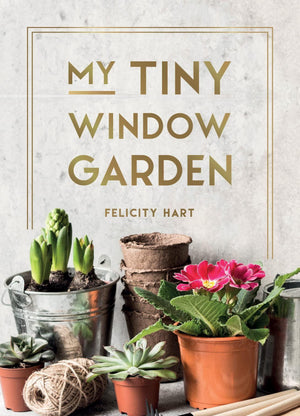 My Tiny window Garden - heart deco