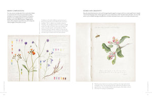 SKETCHING NATURE: A BEGINNERS GUIDE/ BOTANICAL SKETCHBOOK
