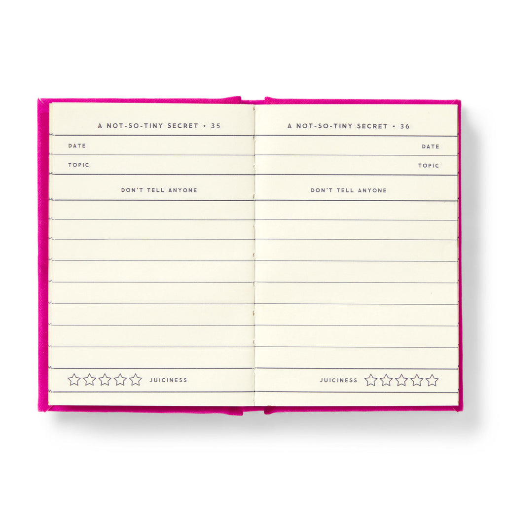 Tiny Diary for not so Tiny Secrets -  Mini Diary with Gilded Pages