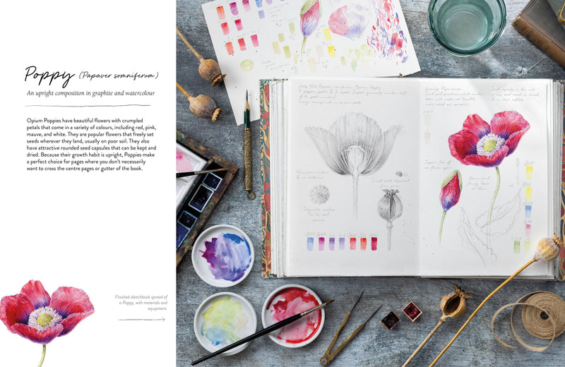 SKETCHING NATURE: A BEGINNERS GUIDE/ BOTANICAL SKETCHBOOK