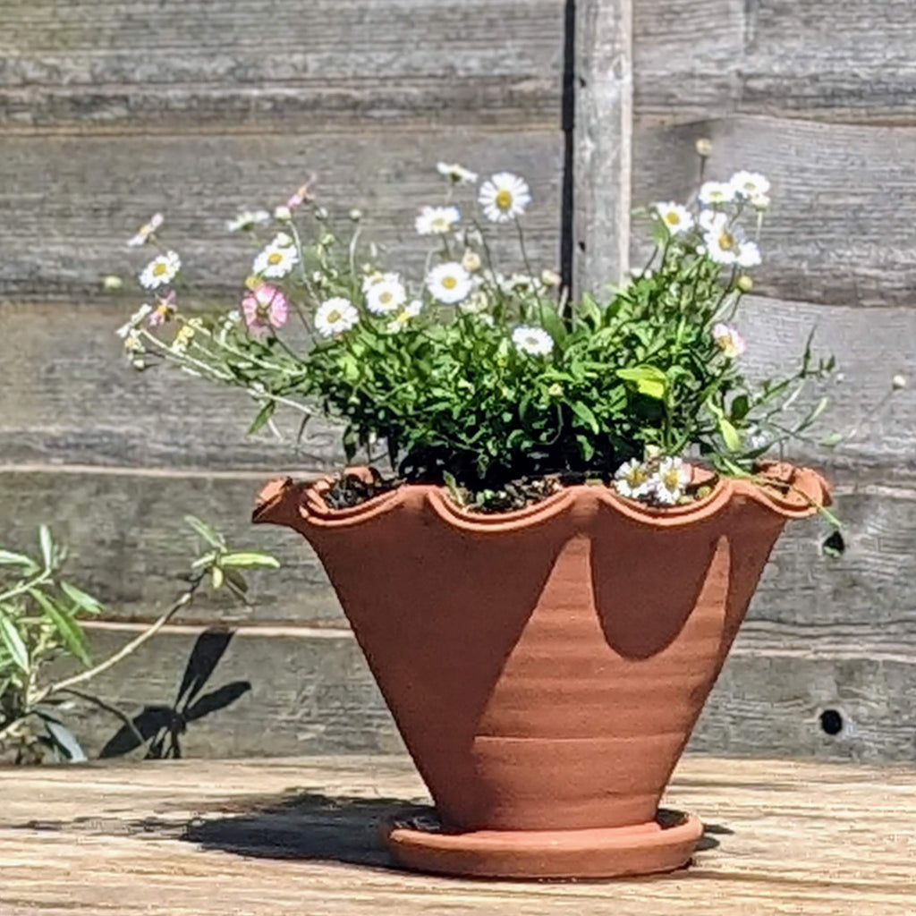 Scalloped Terracotta Hand-Made Plant Pot - heart deco