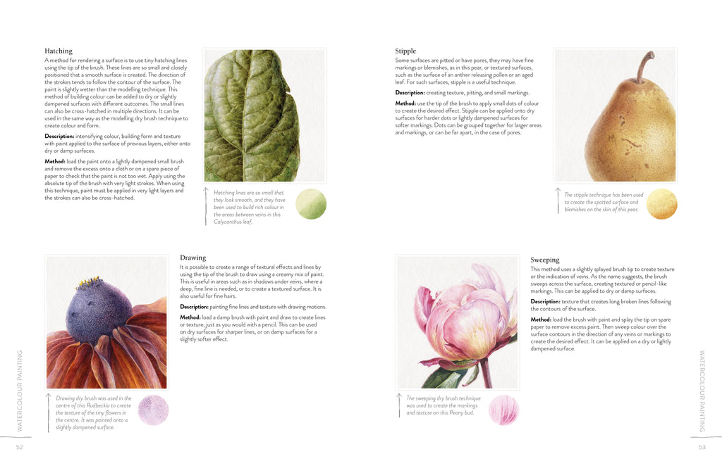 Book page with images of a leaf, pear, flower, and other botanical illustrations.