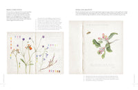 Illustrations of plants and flowers with color swatches on a white background
