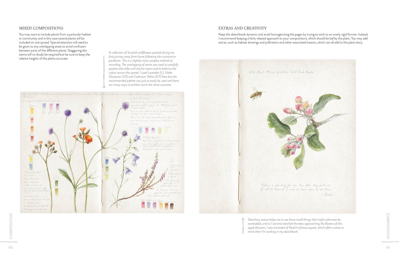 Illustrations of plants and flowers with color swatches on a white background