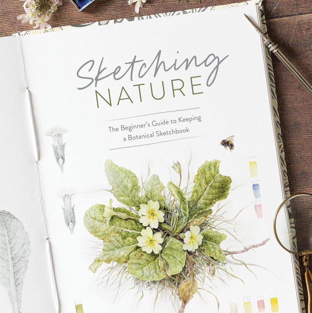 Sketching Nature: A Beginners Guide - Creative Mindful Sketching