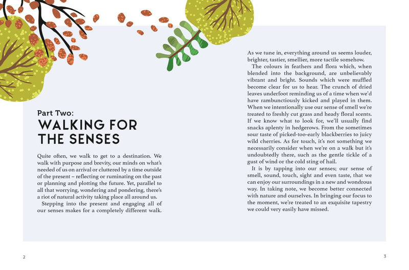 Walking for Mind Body and Soul -  A Guide to Mindful Walking and Wellbeing