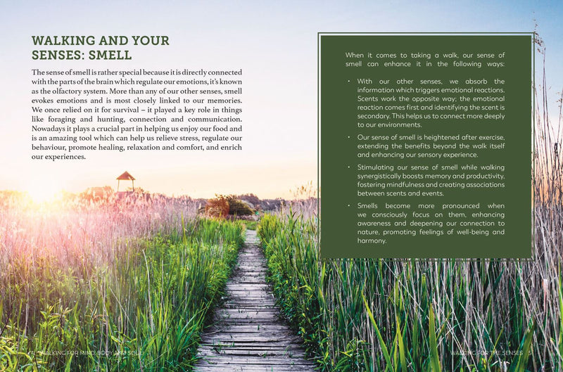 Walking for Mind Body and Soul -  A Guide to Mindful Walking and Wellbeing