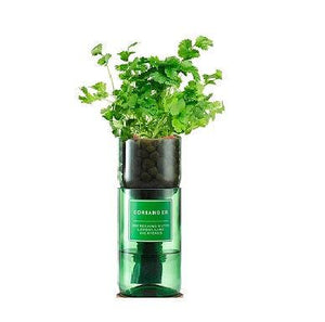 hydro-herbs growing -kits - heart deco