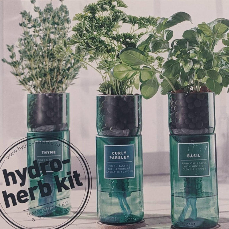 Hydro-Herb Growing Kits - heart deco